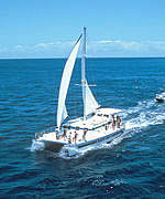 pacific_star.whitsunday.cruises